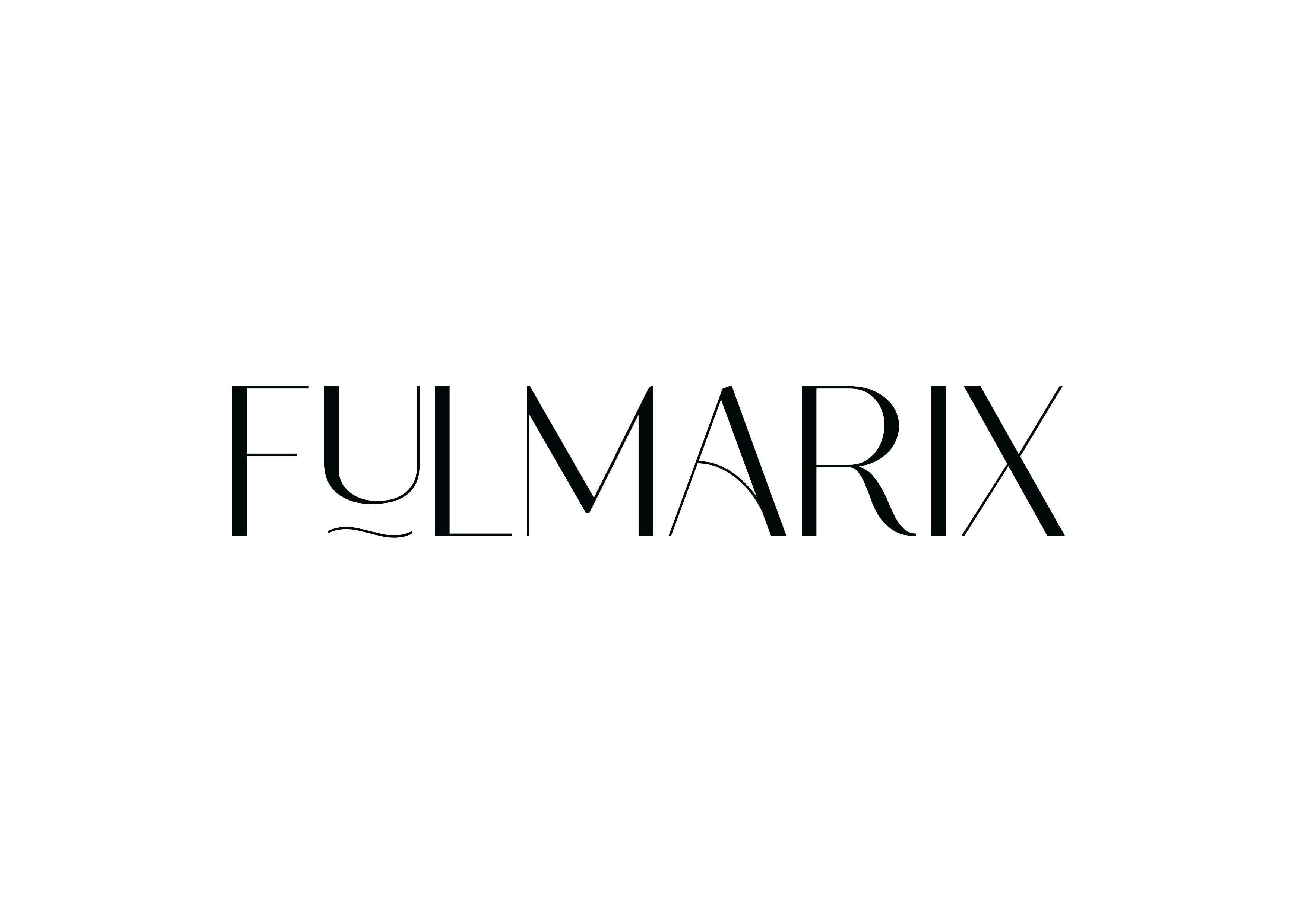Fulmarix Logo